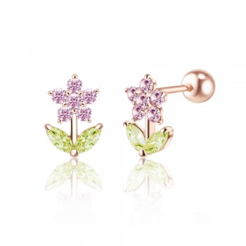 ��ǰ�̹���